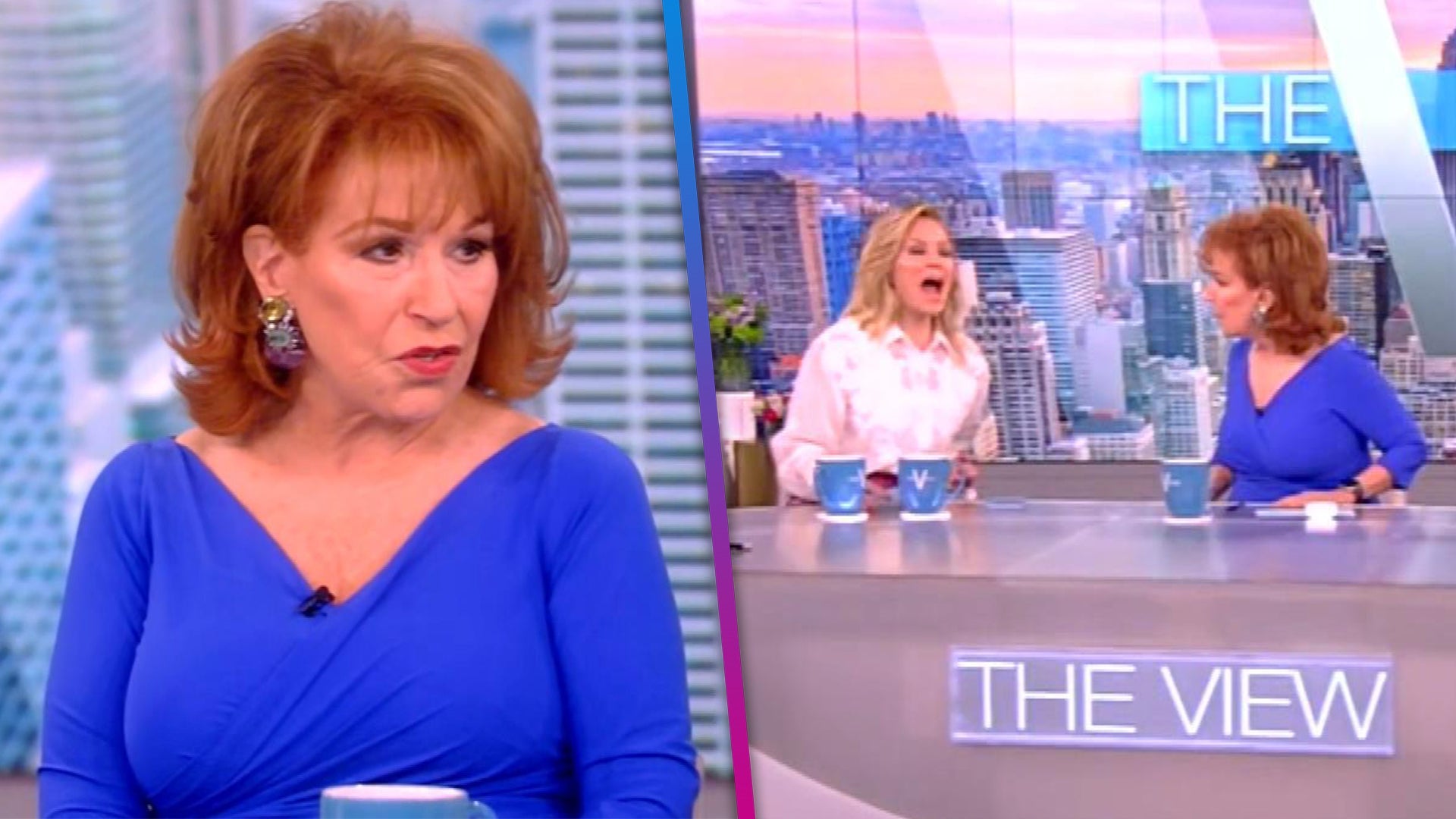 Joy Behar Bikini